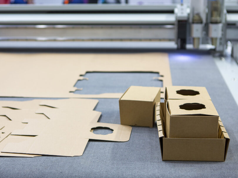 Cardboard Dividers