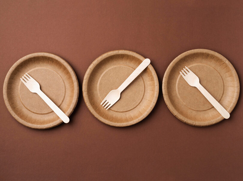 Cardboard Trays