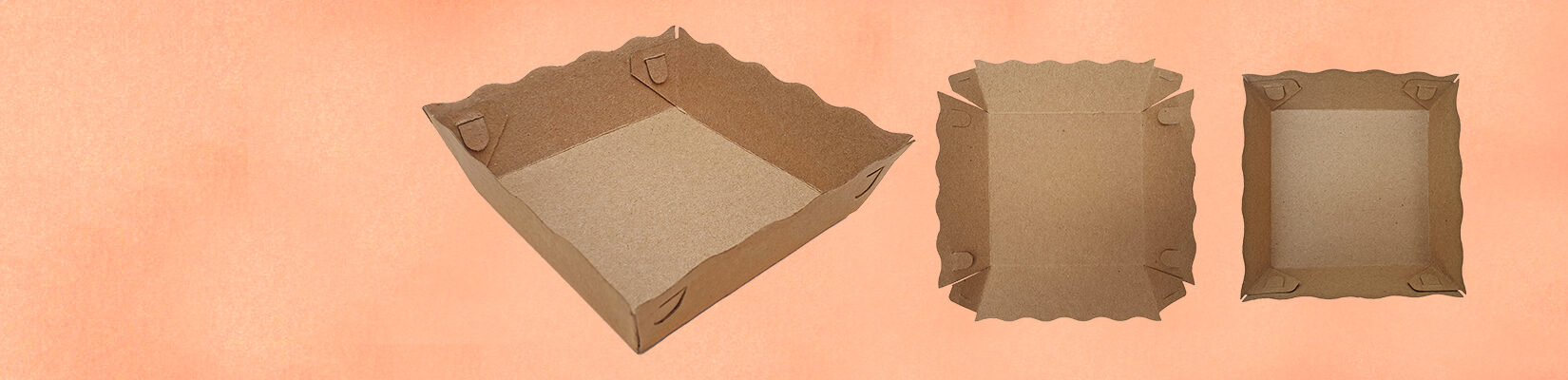 Cardboard Trays